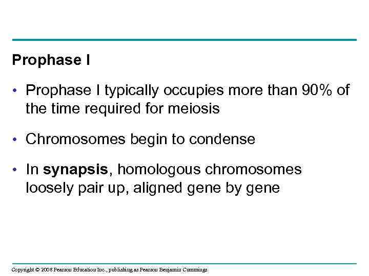 Prophase I • Prophase I typically occupies more than 90% of the time required