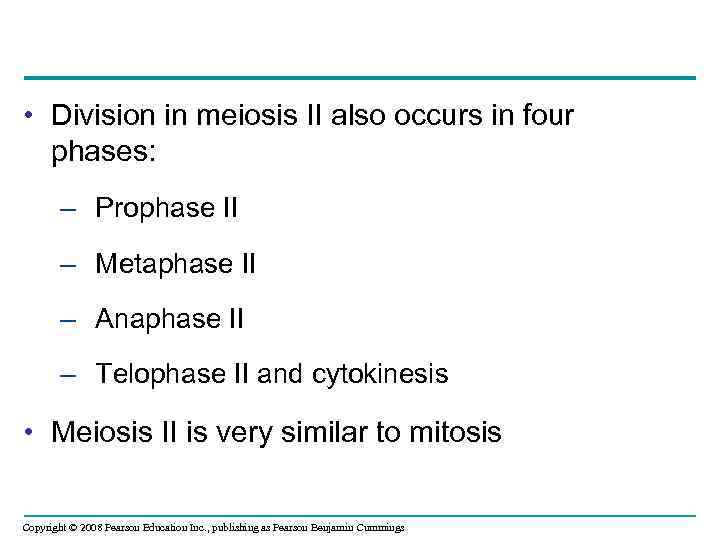  • Division in meiosis II also occurs in four phases: – Prophase II