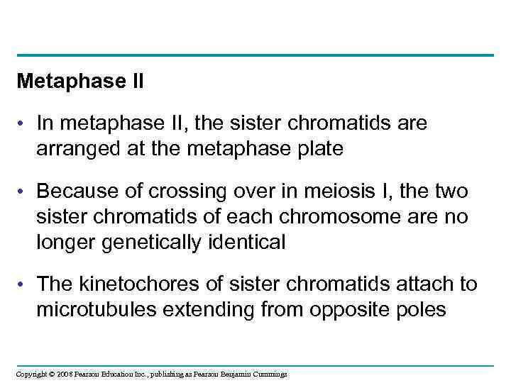 Metaphase II • In metaphase II, the sister chromatids are arranged at the metaphase