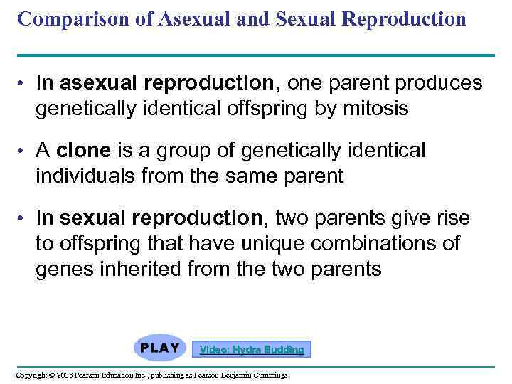 Comparison of Asexual and Sexual Reproduction • In asexual reproduction, one parent produces genetically