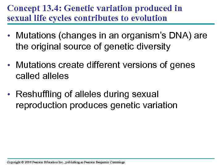 Concept 13. 4: Genetic variation produced in sexual life cycles contributes to evolution •