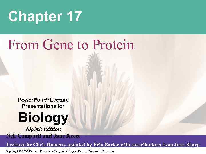 Chapter 17 From Gene To Protein Power Point