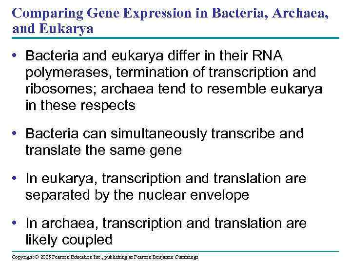 Comparing Gene Expression in Bacteria, Archaea, and Eukarya • Bacteria and eukarya differ in