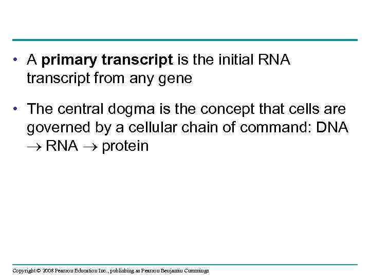  • A primary transcript is the initial RNA transcript from any gene •