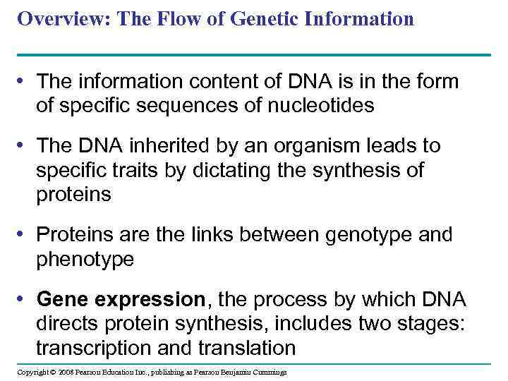 Overview: The Flow of Genetic Information • The information content of DNA is in