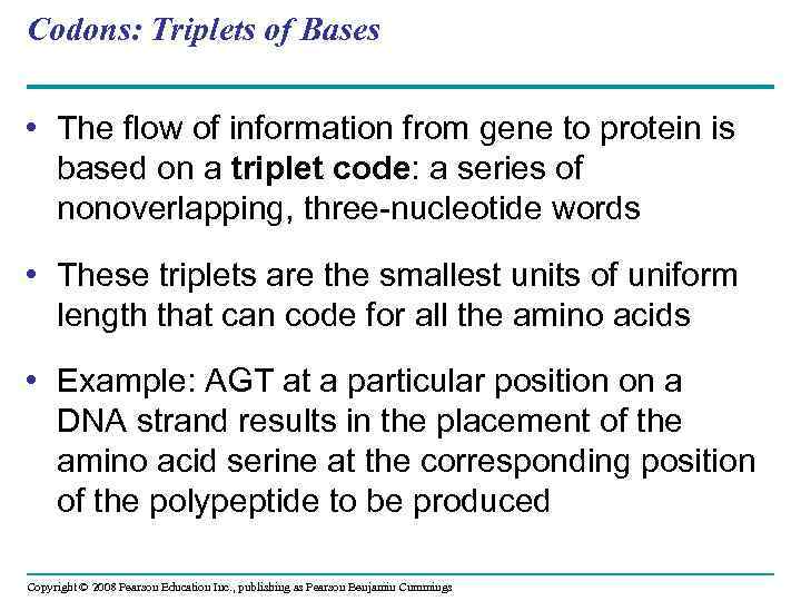 Codons: Triplets of Bases • The flow of information from gene to protein is