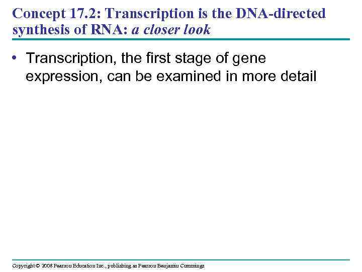 Concept 17. 2: Transcription is the DNA-directed synthesis of RNA: a closer look •