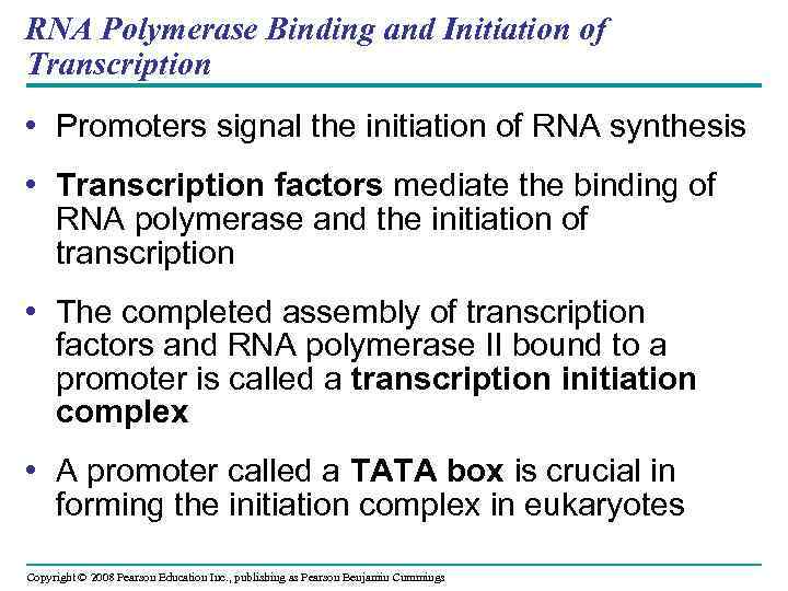 RNA Polymerase Binding and Initiation of Transcription • Promoters signal the initiation of RNA