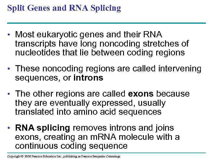 Split Genes and RNA Splicing • Most eukaryotic genes and their RNA transcripts have