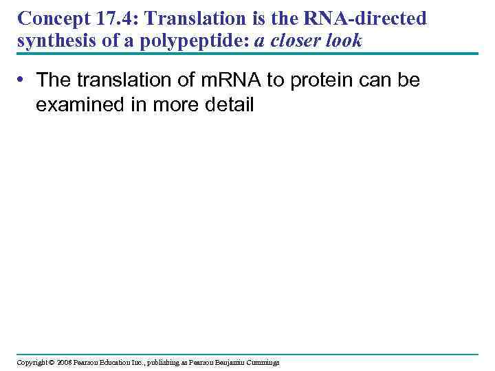Concept 17. 4: Translation is the RNA-directed synthesis of a polypeptide: a closer look
