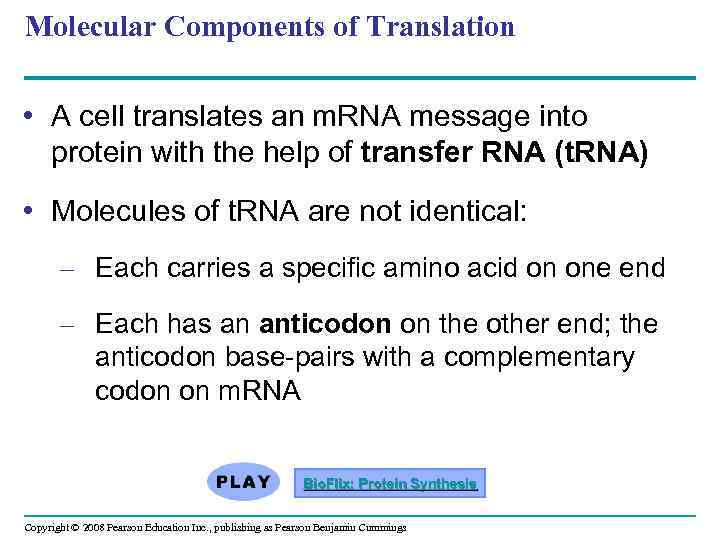 Molecular Components of Translation • A cell translates an m. RNA message into protein