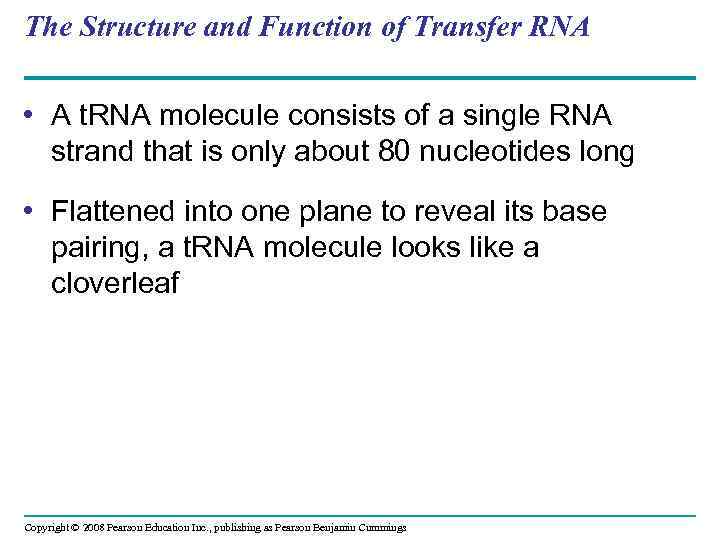 The Structure and Function of Transfer RNA • A t. RNA molecule consists of
