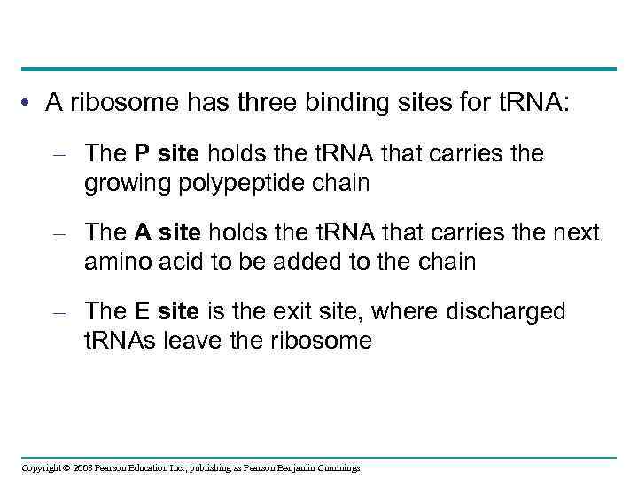  • A ribosome has three binding sites for t. RNA: – The P