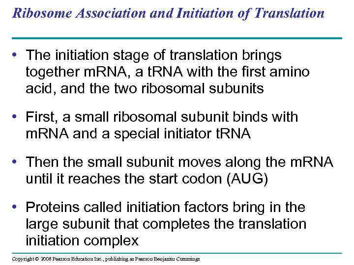 Ribosome Association and Initiation of Translation • The initiation stage of translation brings together