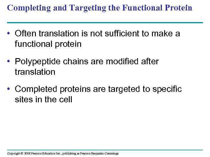 Completing and Targeting the Functional Protein • Often translation is not sufficient to make