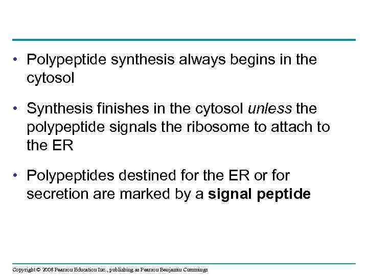  • Polypeptide synthesis always begins in the cytosol • Synthesis finishes in the