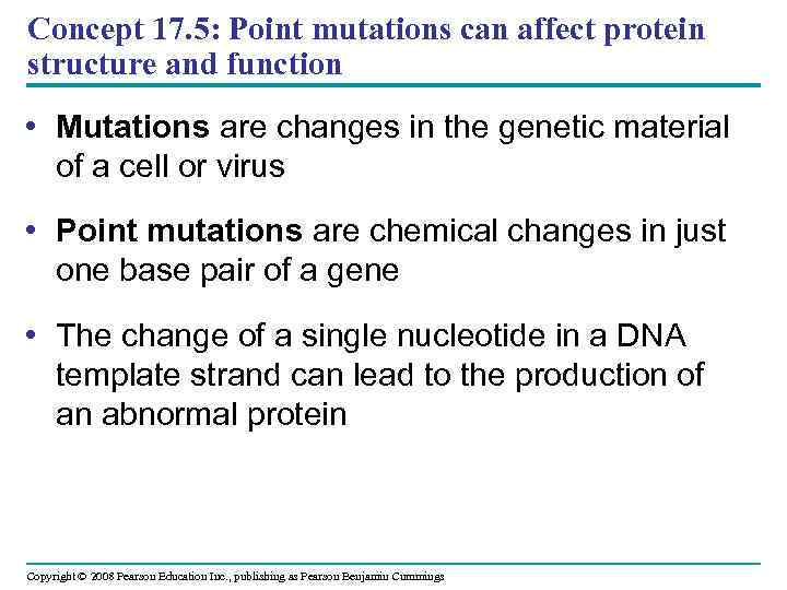 Concept 17. 5: Point mutations can affect protein structure and function • Mutations are