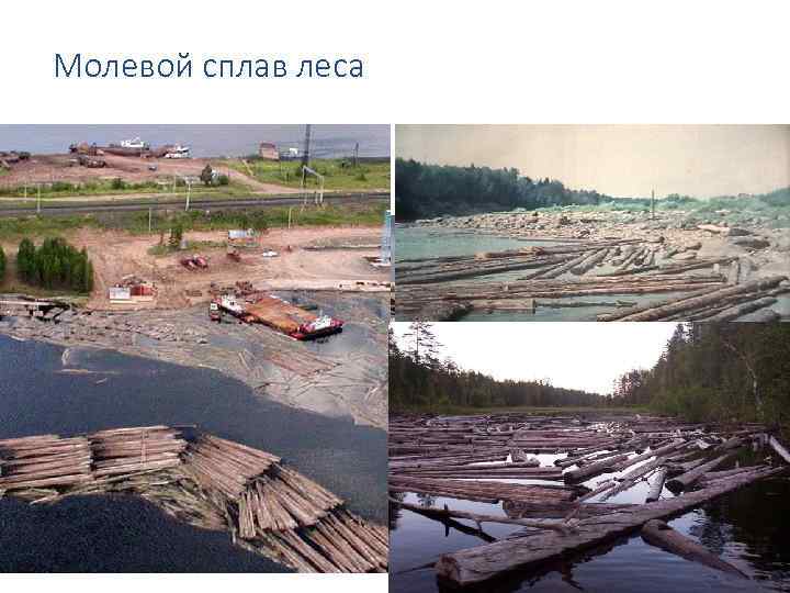 Молевой сплав леса 