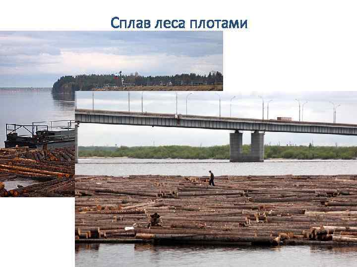 Сплав леса плотами 