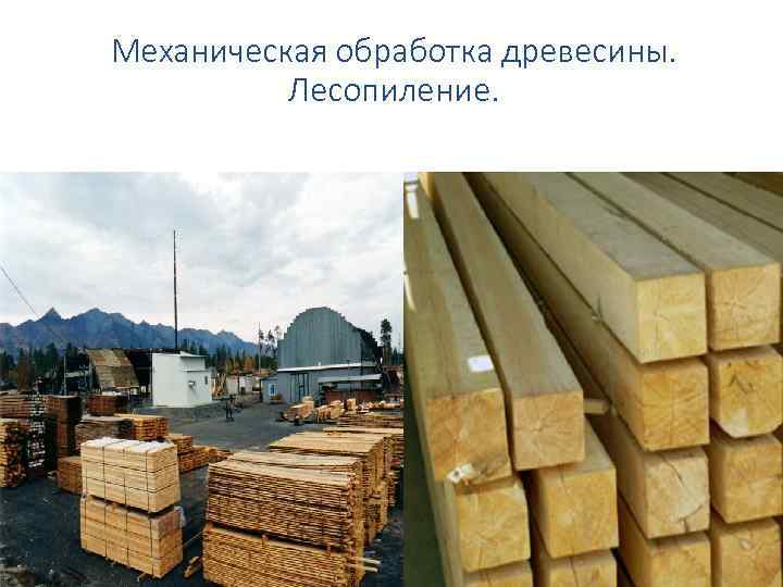Механическая обработка древесины. Лесопиление. 