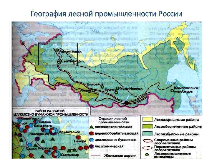 География лесной промышленности России 