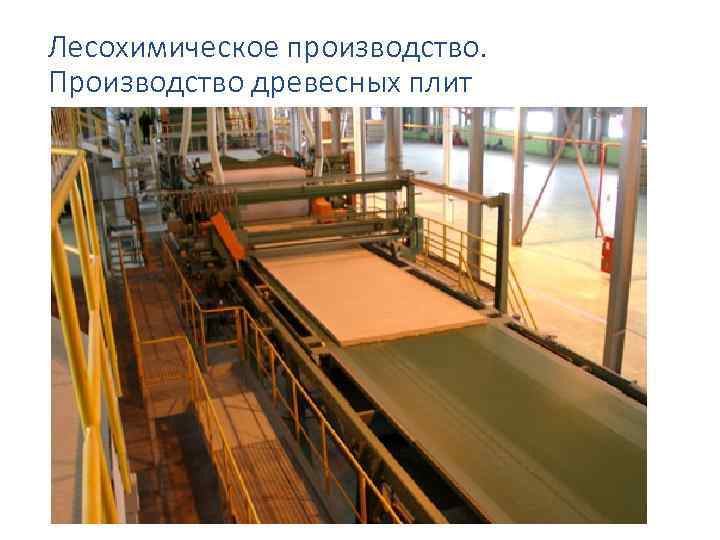 Лесохимическое производство. Производство древесных плит 