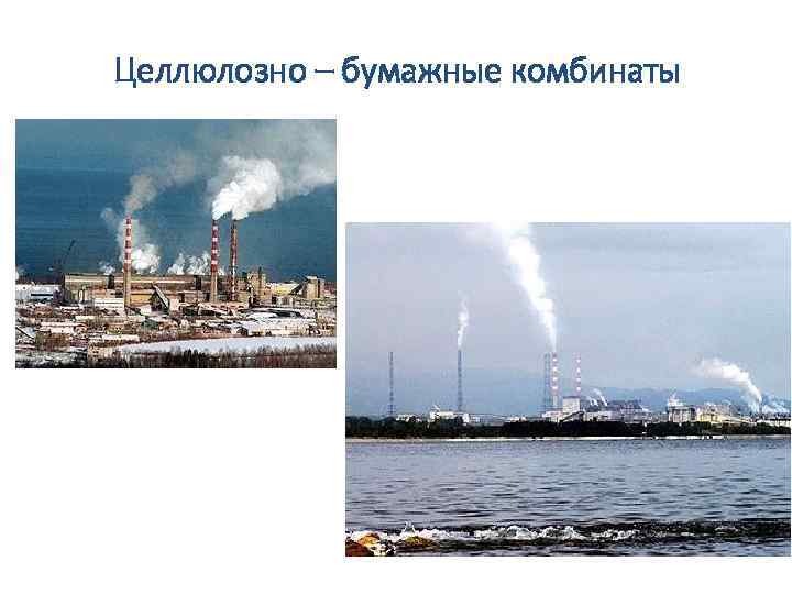 Целлюлозно – бумажные комбинаты 