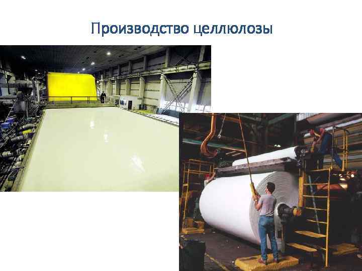 Производство целлюлозы 