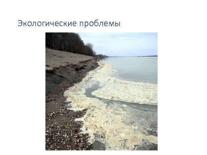 Экологические проблемы 