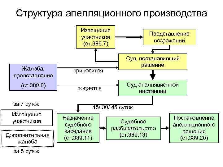 Суды апелляционного производства