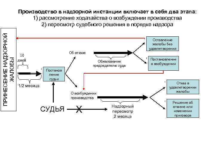 ПРИНЕСЕНИЕ НАДЗОРНОЙ ЖАЛОБЫ Производство в надзорной инстанции включает в себя два этапа: 1) рассмотрение