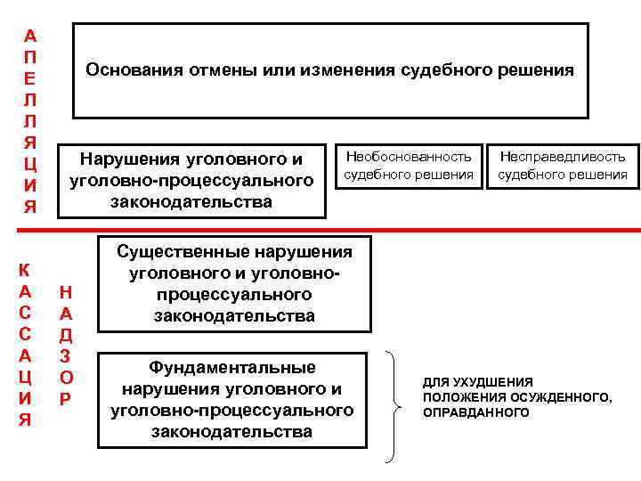 А П Е Л Л Я Ц И Я К А С С А