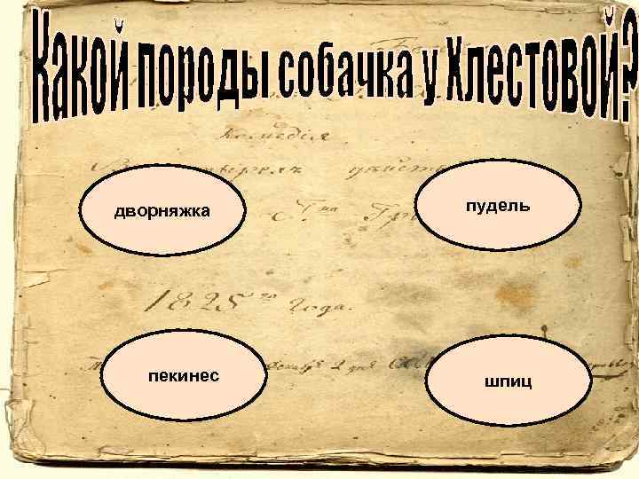 дворняжка пекинес пудель шпиц 