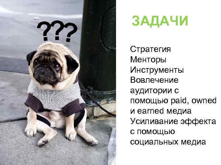 ? ? ? ЗАДАЧИ Стратегия Менторы Инструменты Вовлечение аудитории с помощью paid, owned и