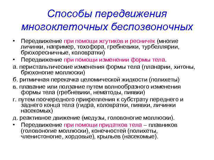 Способы передвижения многоклеточных беспозвоночных • Передвижение при помощи жгутиков и ресничек (многие личинки, например,