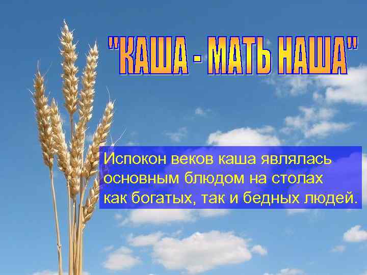 Испокон веков каша являлась основным блюдом на столах как богатых, так и бедных людей.