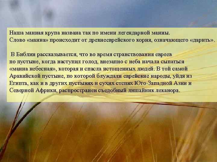 Наша манная крупа названа так по имени легендарной манны. Слово «манна» происходит от древнееврейского