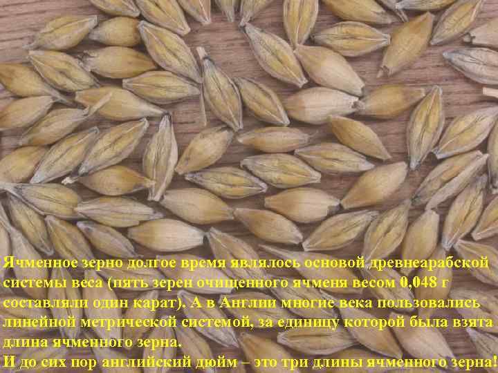 Ячменное зерно долгое время являлось основой древнеарабской системы веса (пять зерен очищенного ячменя весом