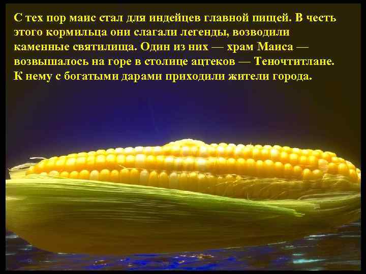 С тех пор маис стал для индейцев главной пищей. В честь этого кормильца они