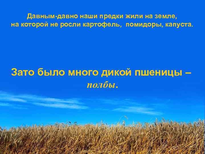 Давным-давно наши предки жили на земле, на которой не росли картофель, помидоры, капуста. Зато