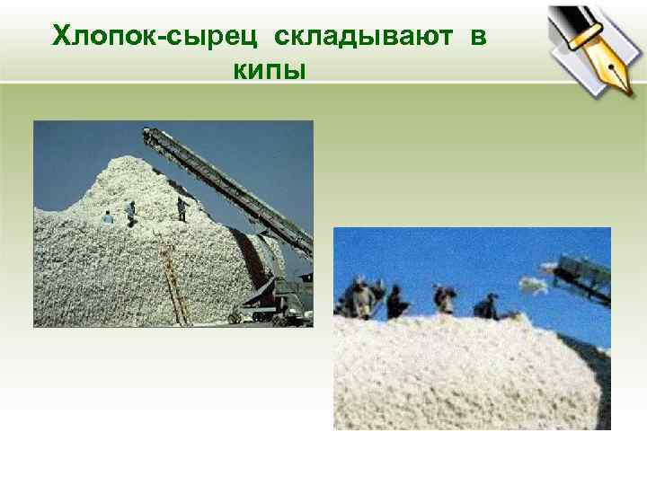 Хлопок-сырец складывают в кипы 