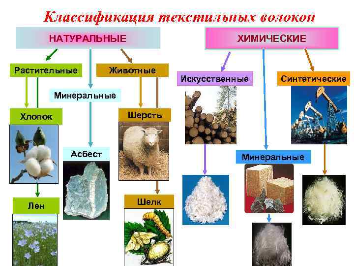 Классификация текстильных волокон НАТУРАЛЬНЫЕ Растительные ХИМИЧЕСКИЕ Животные Искусственные Синтетические Минеральные Шерсть Хлопок Асбест Лен