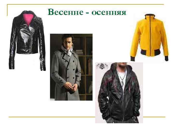 Весенне - осенняя 