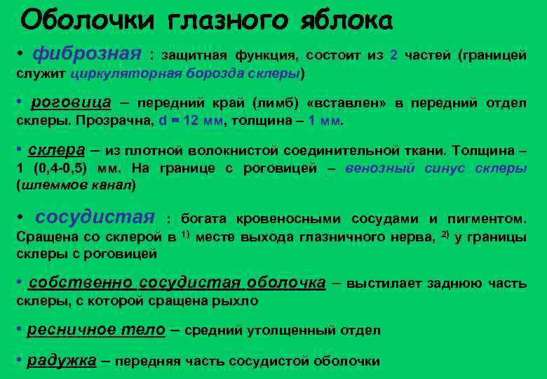 Оболочки глазного яблока • фиброзная : защитная функция, состоит из 2 частей (границей служит