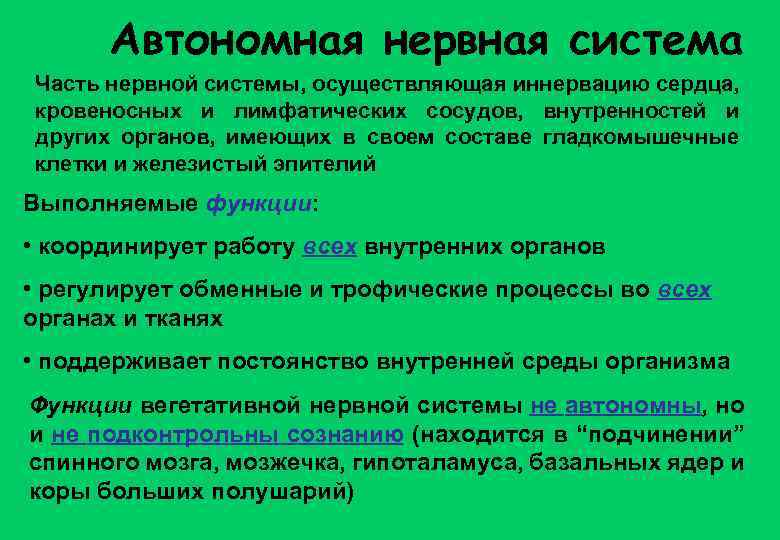 Автономная нервная система Часть нервной системы, осуществляющая иннервацию сердца, кровеносных и лимфатических сосудов, внутренностей