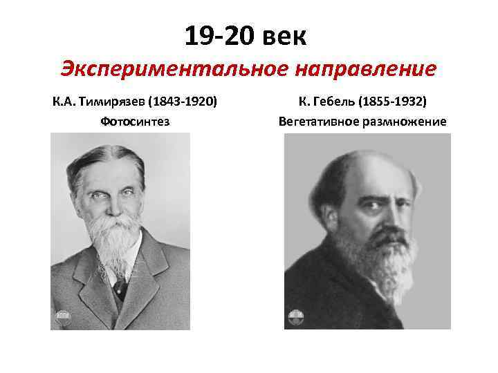 19 -20 век Экспериментальное направление К. А. Тимирязев (1843 -1920) Фотосинтез К. Гебель (1855