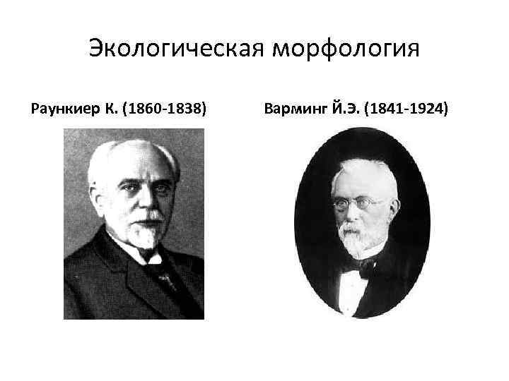 Экологическая морфология Раункиер К. (1860 -1838) Варминг Й. Э. (1841 -1924) 