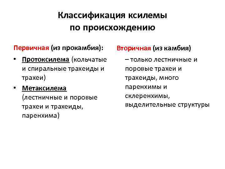 Классификация ксилемы по происхождению Первичная (из прокамбия): • Протоксилема (кольчатые и спиральные трахеиды и