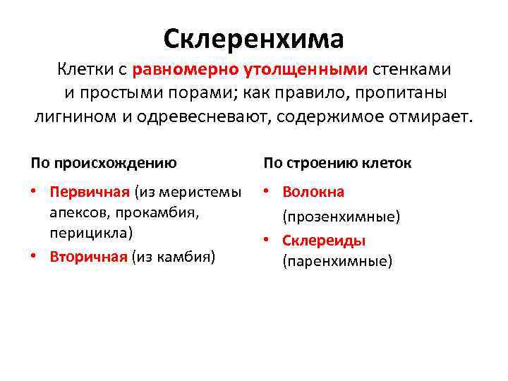 Склеренхима Клетки с равномерно утолщенными стенками и простыми порами; как правило, пропитаны лигнином и