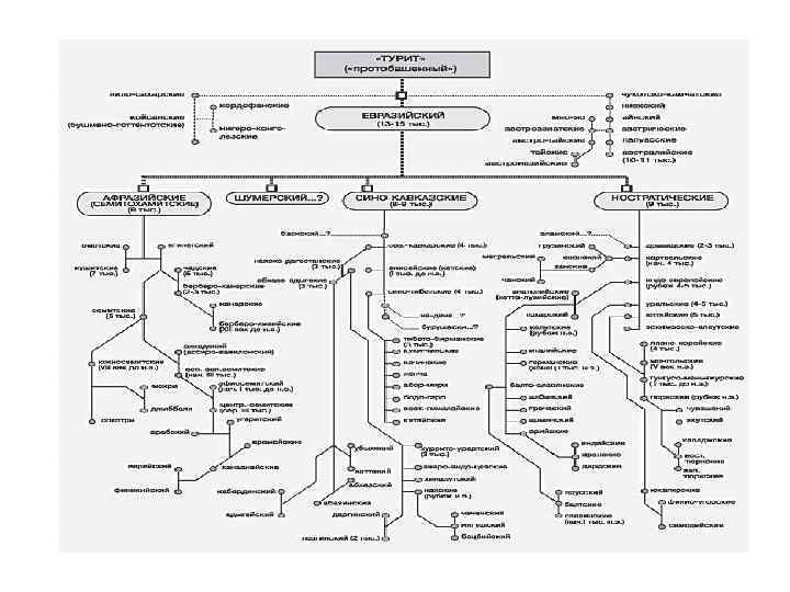 Классы языков лингвистика. Генеалогическая классификация языков таблица. Генеалогическая классификация языков мира таблица. Генеалогическая классификация языков России. Генеалогическая классификация языков (основные принципы, примеры)..